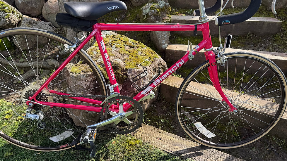 Thumbnail: Bianchi Sport SX — 1987 Terry Geometry, Fuchsia