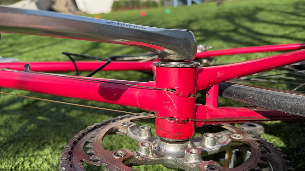 Thumbnail: Bianchi Sport SX — 1987 Terry Geometry, Fuchsia