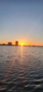 20250202_171904.jpg