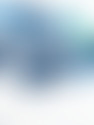 PT Compact: How a Bill Becomes a Law (State)