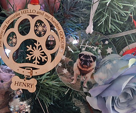 Henry 2024 sadly missed Leanne's doggy B&B