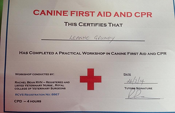 Leanne's doggy B&B canine first aid