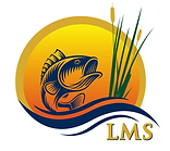 LMS logo