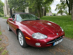 ff76be87-f20f-40db-8be2-40f0bfdf830d.jpg