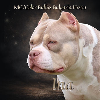 MGCOLOR Bullies Bulgaria Hestia118.jpg