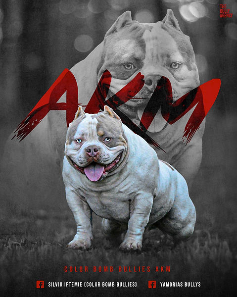 Color Bomb Bullies AKM logo.jpeg