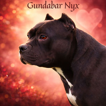 Gundabar Nyx - logga12a.jpg