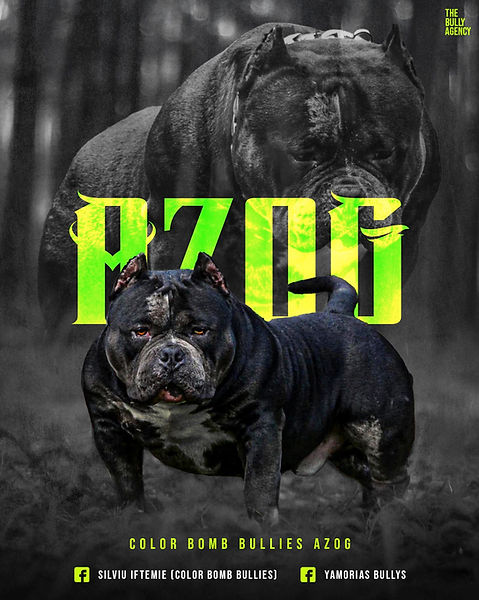 Color Bomb Bullies Azog logo.jpeg