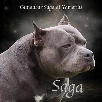 Gundabar Saga93.jpg