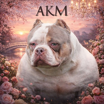 Color Bomb Bullies AKM - logoa10a.jpg