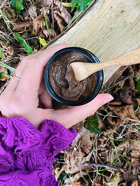 ELECTUARIUM - binnenkant3.jpg