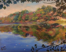"View from Rail Trail at Mill Pond"