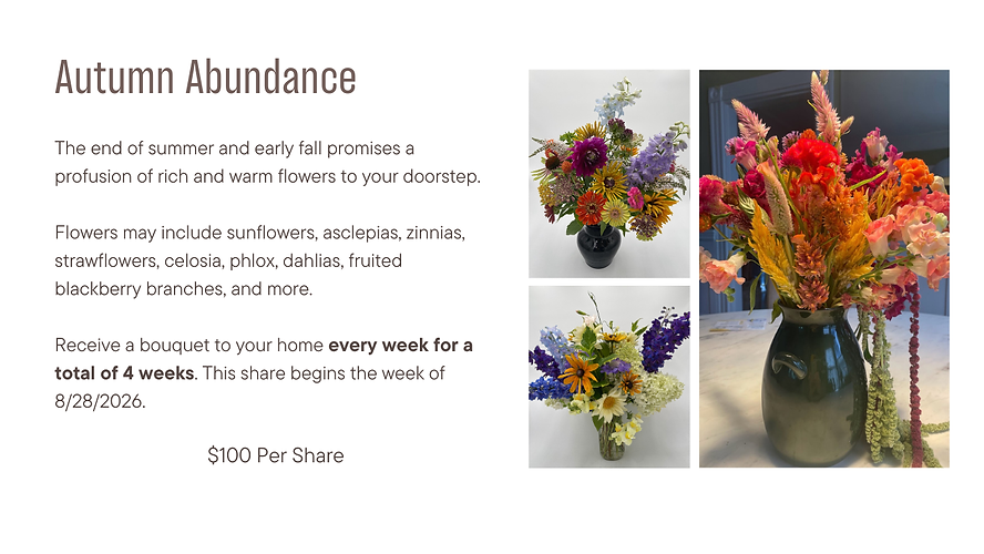 Lakehurst Farm - CSA Page (6).png