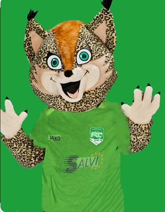 Capture d'écran 2025-11-18 184848.png