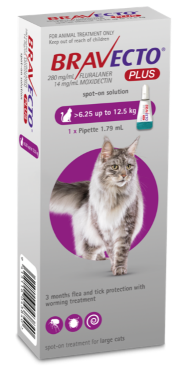 Bravecto PLUS for Cats Large healthyaspets