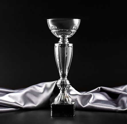 view-silver-cup-trophy.jpg