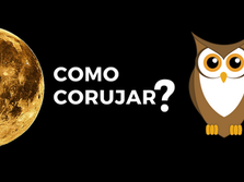 Como Observar Corujas?