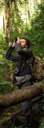 Pedro Ribeiro fotógrafo e birder.jpeg