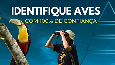 A Pirâmide - O Poder das Aves - Método de Identificação de Aves (2).png