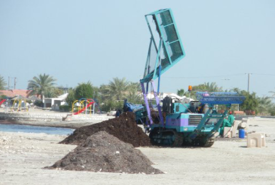 Beach Cleaner 1