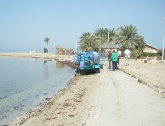 Beach Cleaner 4