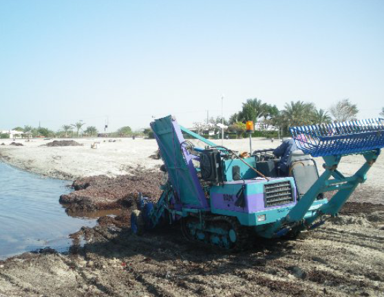 Beach Cleaner 2