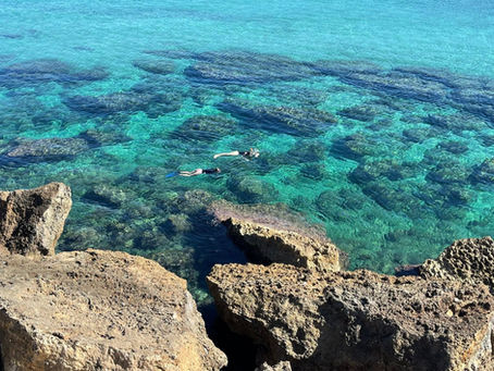 Personalidad como puente entre la biología, la conciencia y la vida.
