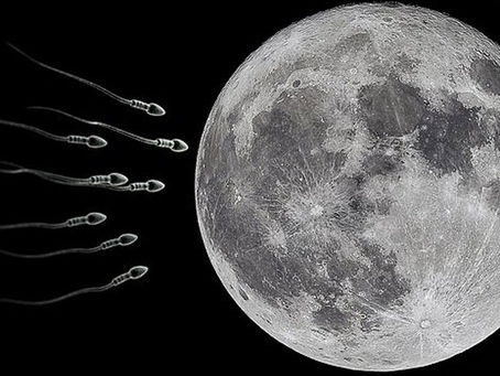 NASA - Moon: "Noah's Ark" with sperm and eggs from 6.7 million Earth species