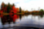 The Ripple Effect