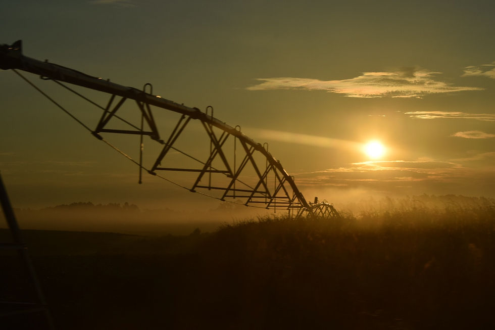 Farm Life