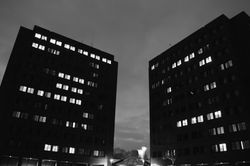 DSC_0292.jpg
