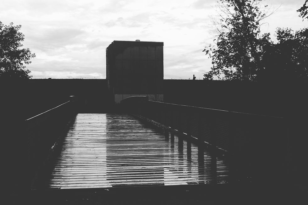 The Shadows