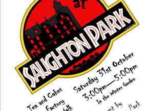 Spooky Halloween 29th of October