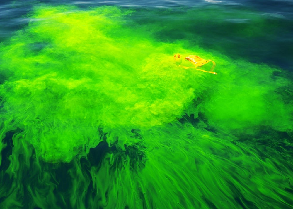 Sea Dye Marker la FLUORESCINA