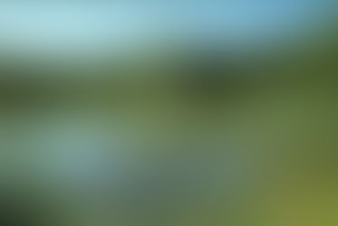 Sortie Nature en Reserve à l'Etang des Noës