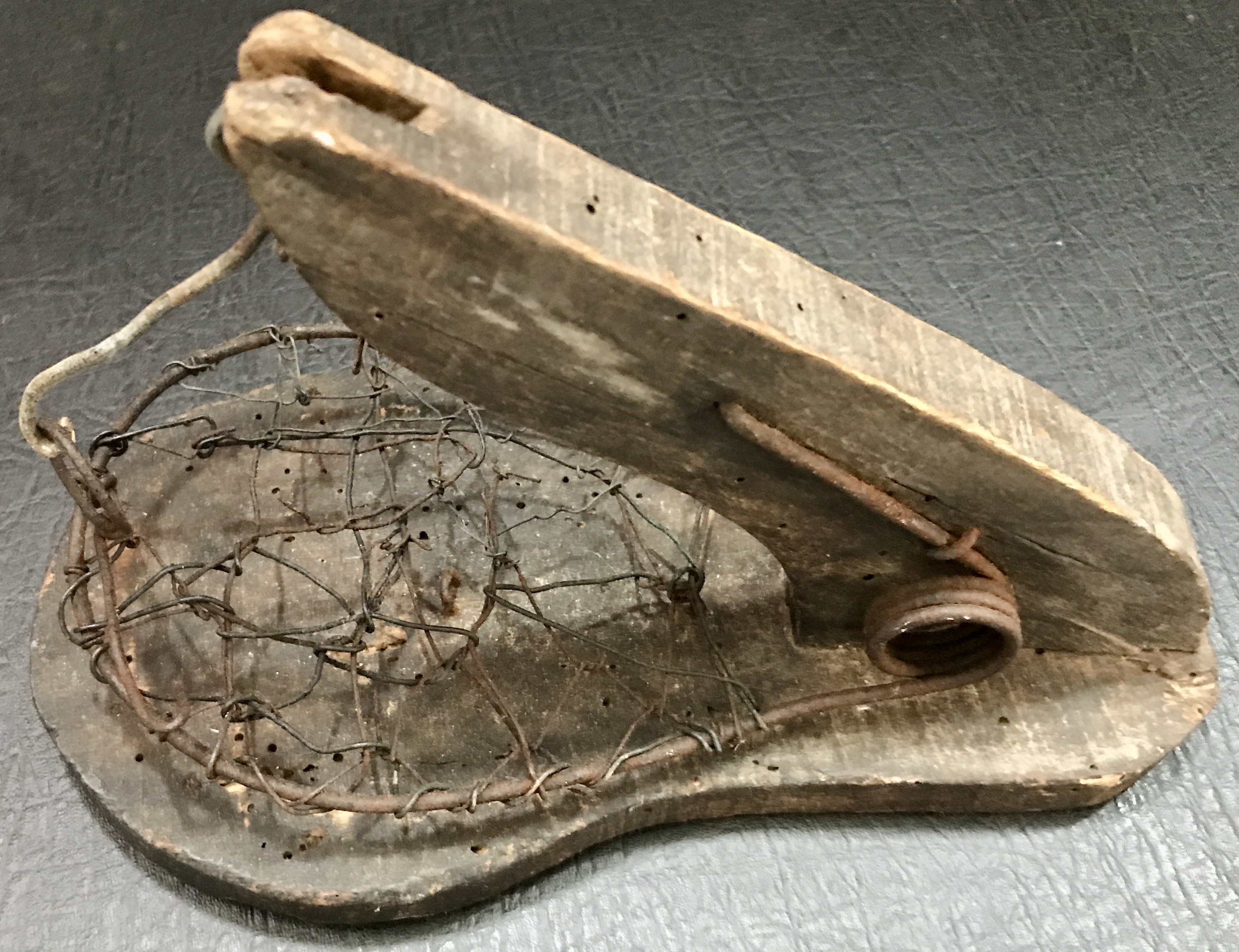 Piège tapette à souris
