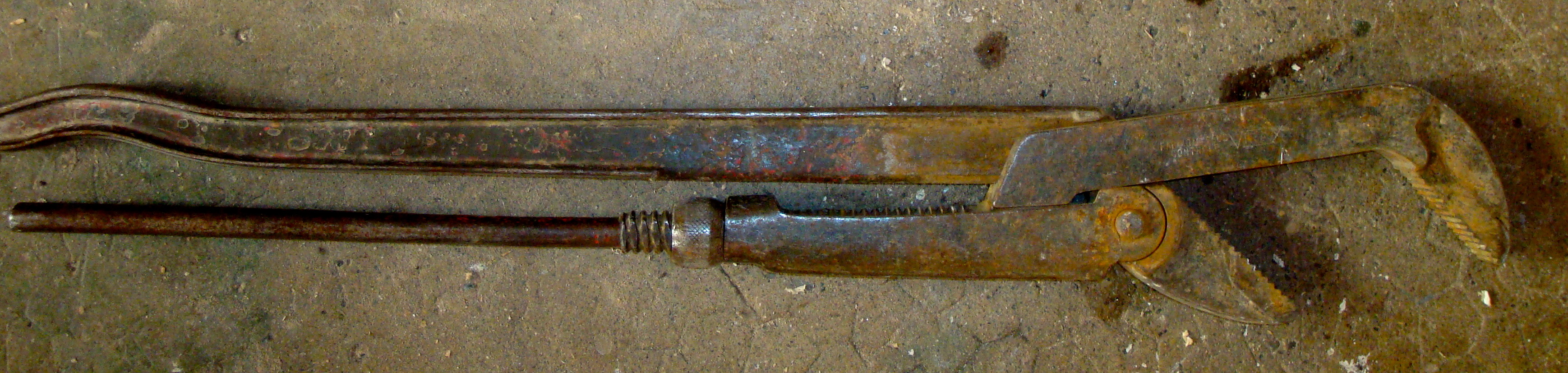 Clef perroquet maxi