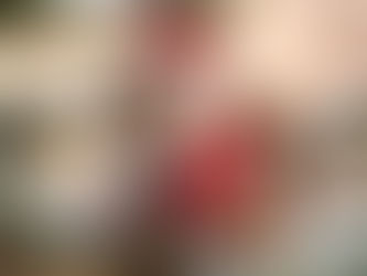 Meet Shana the Christmas Squirrel! 🐿️