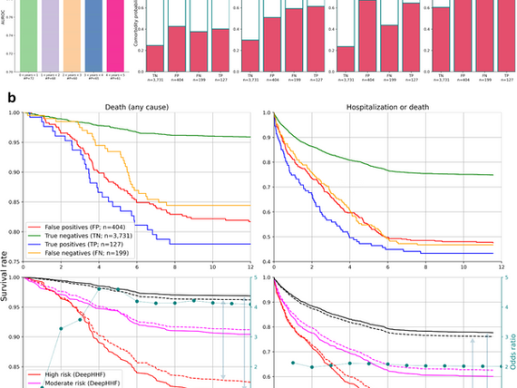 Modeling Day-Long ECG Signals to Predict Heart Failure Risk withExplainable AI