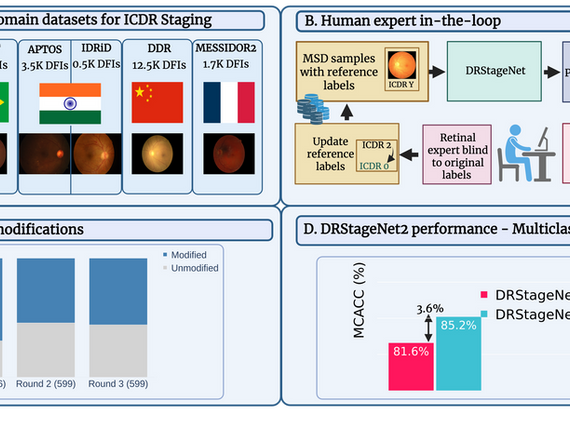 Multisource domain training with retinal expert-in-the-loop for accuratediabetic retinopathy staging from fundus images