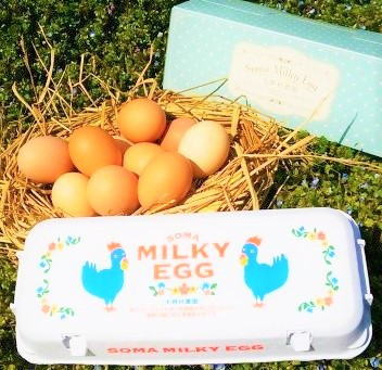相馬ミルキーエッグ（10個入）【ギフト用】 | soma