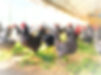 S__103596034_edited.jpg