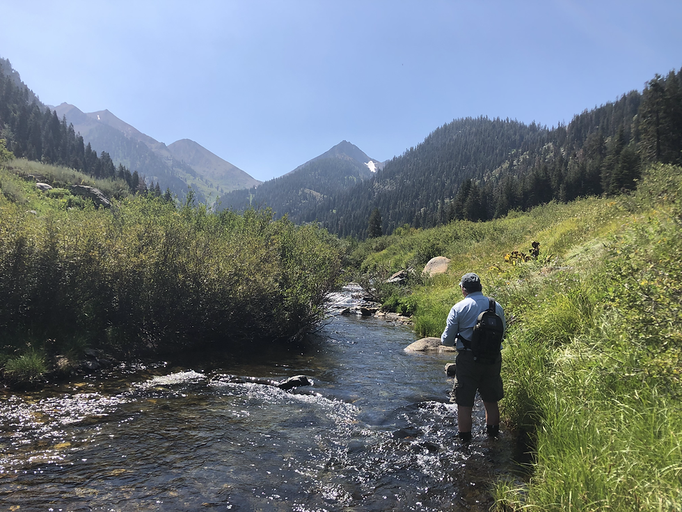 Tanuki Summit 2022- Fish and Learn,