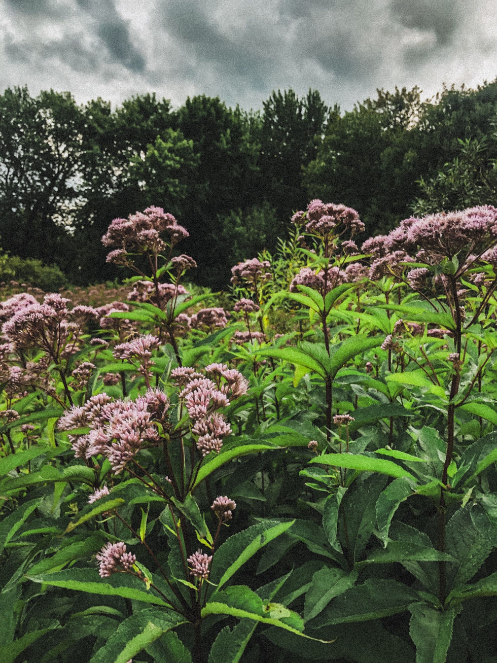 The Space Between 🌄