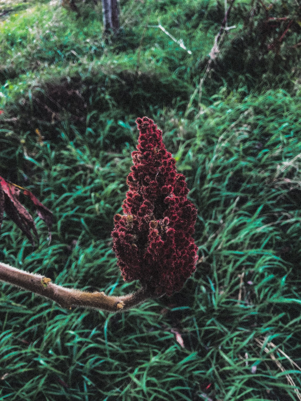 A Call to Repentance 🙏🏼