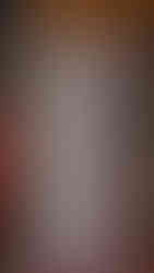 Testimonios del Taller del Sacrificio al Gozo: Jugando con el Árbol