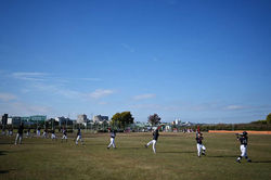IMG_E4DDFEA8150A-1