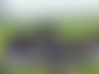 2018年9月16日(日)　東京新聞杯日本ﾊﾑ杯城南CUP学童新人戦世田谷大会第3回戦