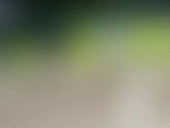 2018年7月21日(土)　第70回玉川地域少年野球大会Aクラス3位決定戦