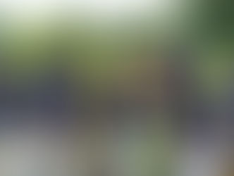 2018年7月14日(土)　第70回玉川地域少年野球大会Aクラス準決勝戦